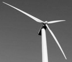 windmill