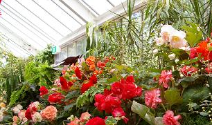 greenhouse greenhose