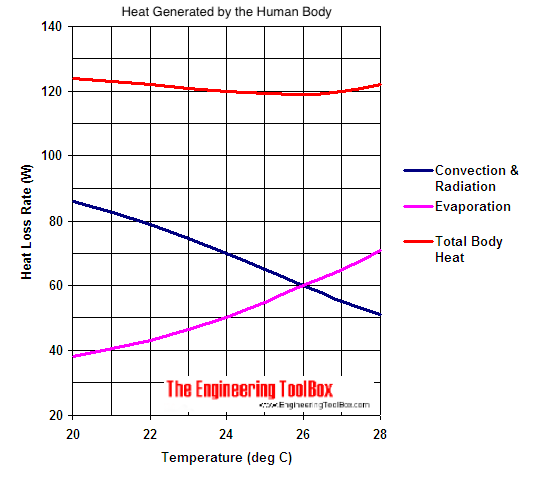 Human body heat - metabolism