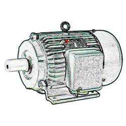 Electric motor Electric motor